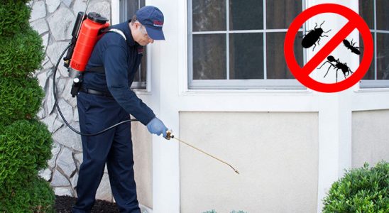 Gümüşpala Tahtakurusu İlaçlama böcek ilaçlama ve haşere kontrolü — ilaclama-tr.com